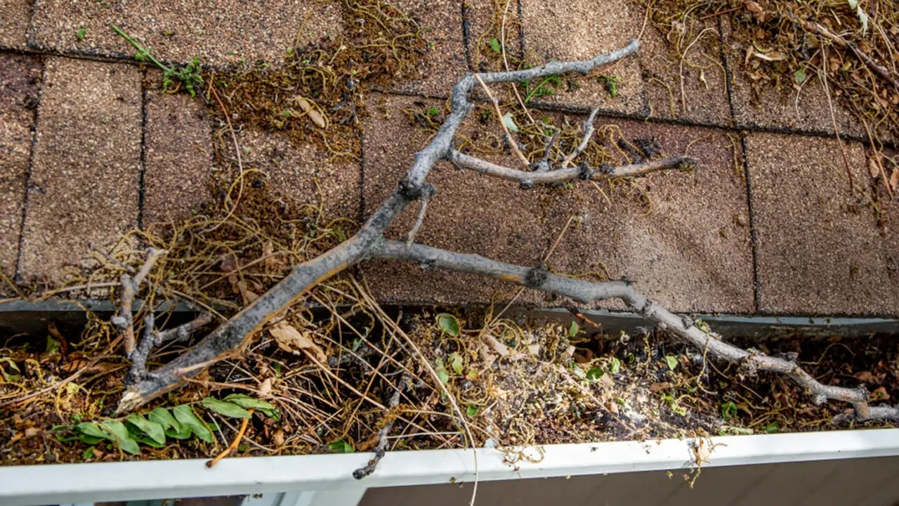 Blocked Gutter Clogged gutter filled with leaves, branches, and debris on a shingle roof.